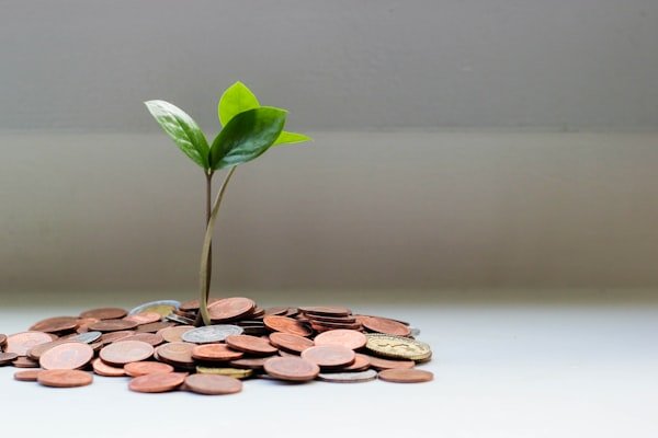 Investment growth chart illustration