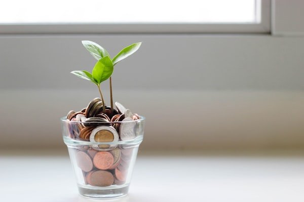 Money growth and savings illustration